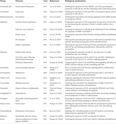 Targeting non-coding RNA H19: A potential therapeutic approach in pulmonary diseases